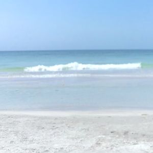 Meet your Posher, Bella